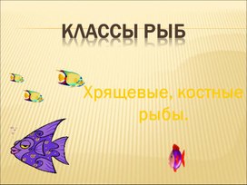 Презентация по биологии "Классы рыб"