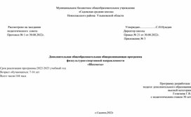 Дополнительная общеобразовательная общеразвивающая программа физкультурно-спортивной направленности «Шахматы»