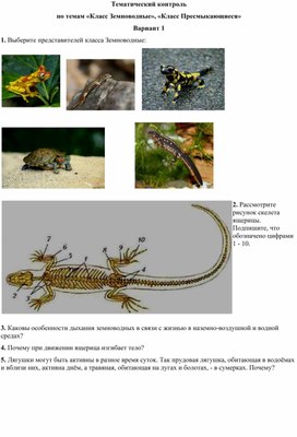 Тематический по теме "Класс Земноводные и Пресмыкающиеся"