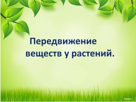 Передвижение воды и питательных веществ