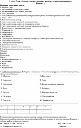 Проверочная работа клетка-основа строения и жизнедеятельности организма.