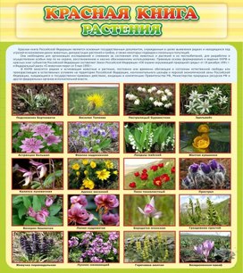 Обложка для материала красная книга