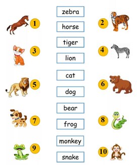 Test "Animals due to their names" (2 Form)