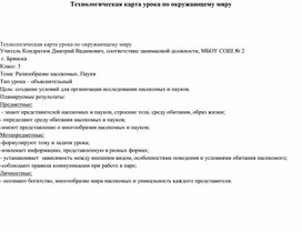 Технологическая карта урока по окружающему миру "Разнообразие насекомых. Пауки." 3 класс