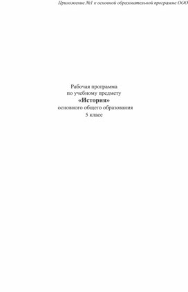 Рабочая программа по истории 5-9 классы