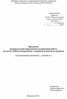 Программа индивидуальной коррекционно-развивающей работы для детей с ОВЗ/детей-инвалидов с задержкой психического развития