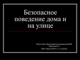 Презентация по ОБЖ на тему "Безопасное поведение дома и на улице"