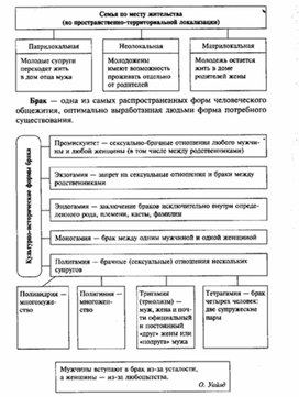 Обложка для материала Обществознание__схема_31