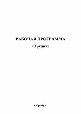 Рабочая программа "Эрудит"