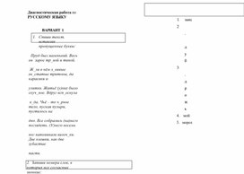 Диагностическая работа по русскому языку 3 класс