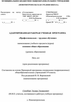 Адаптированная рабочая программа для учащихся 5-9 класса по предмету Профессионально-трудовое обучение