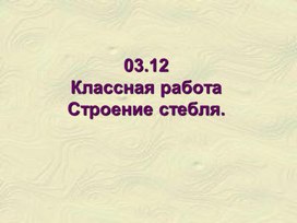 Презентация по теме : Строение стебля