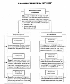Обложка для материала педагогическая  психология_27
