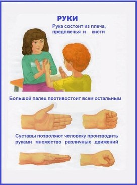 Обложка для материала зож