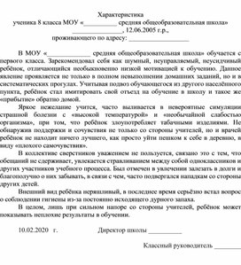 Характеристика (мальчик) ВШК
