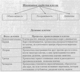 Материал к урокам  биологии