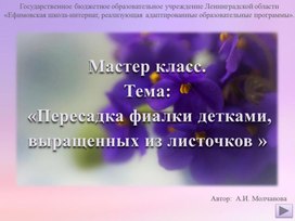 Прецентация.Мастер класс. Тема:  «Пересадка фиалки детками, выращенных из листочков».