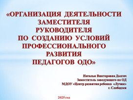 Обложка для материала Организация деятельности заместителя руководителя по созданию условий профессионального развития педагогов ОДО