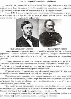 Высшая нервная деятельность человека