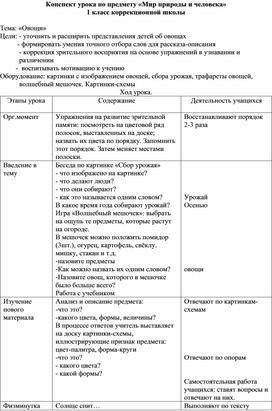 Конспект урока по предмету «Мир природы и человека» 1 класс коррекционной школы  Тема: «Овощи»