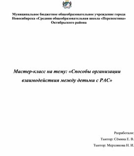 «Способы организации взаимодействия между детьми с РАС»