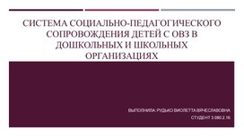 Система социально-педагогического сопровождения детей с ОВЗ в дошкольных и школьных организациях