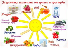Обложка для материала защитники организма от гриппа