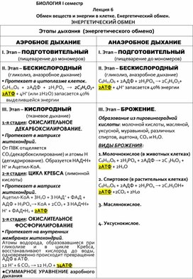 Обложка для материала Лекция по биологии на тему "Энергетический обмен"