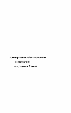 Адаптированная рабочая программа  по математике для 5 класс УМК Шарыгин