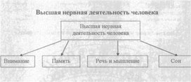 Материал к урокам  биологии