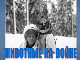 Обложка для материала Презентация на тему "Животные на войне"