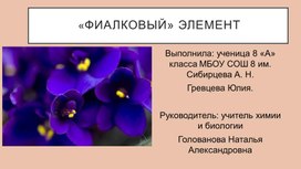 Обложка для материала Презентация исследовательской работы. Фиалковый элемент