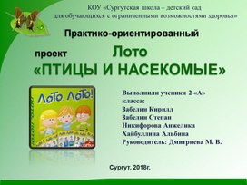 Коллективный проект "Лото "ПТИЦЫ И НАСЕКОМЫЕ", 2кл неслышащих уч-ся.