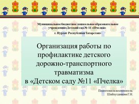 Организация работы по профилактике детского дорожно-транспортного травматизма в "Детском саду №11 "Пчелка"