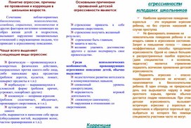 Коррекция агрессивности младших  школьников