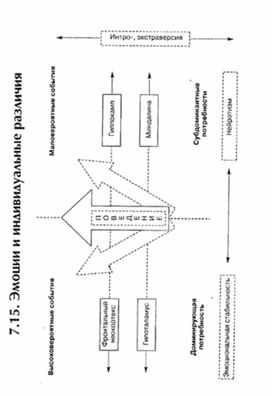 Обложка для материала материал по психофизиологии
