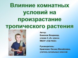 Исследовательский проект: «Влияние комнатных условий на произрастание тропического растения»