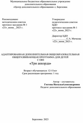 Дополнительная образовательная общеразвивающая программа для детей с ОВЗ "Три аккорда"