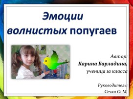 Обложка для материала Презентация "Эмоции волнистых попугаев"