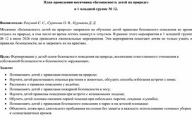Обложка для материала Месячник «Безопасность детей на природе» в 1 младшей группе № 12.