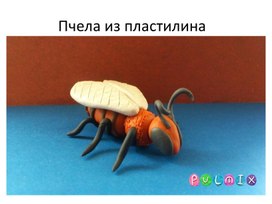 Обложка для материала пчела из пластилина