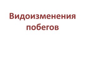 Обложка для материала Презентация по биологии на тему: "Видоизменения побегов"