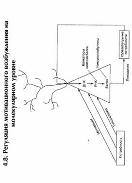 Обложка для материала материал по психофизиологии