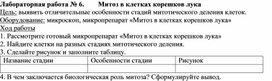 Обложка для материала Лабораторная работа № 6.        Митоз в клетках корешков лука