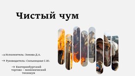 Исследовательский проект "Чистый чум"