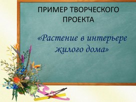 Презентация по технологии "Растение в интерьере жилого помещения" 6 класс