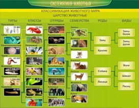 Обложка для материала систематика животных