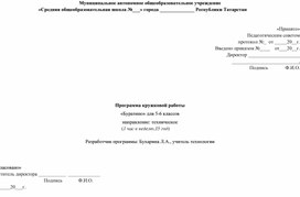 Программа кружковой работы  «Буратино» для 5-6 классов