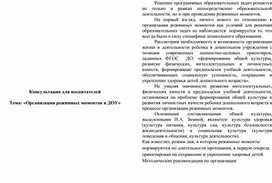 Обложка для материала Консультация для воспитателей  Тема: «Организация режимных моментов в ДОУ»