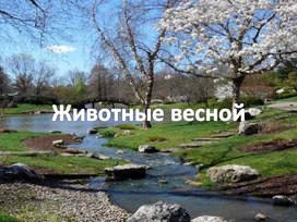 Презентация "Животные весной"